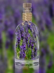 lavender-1490788